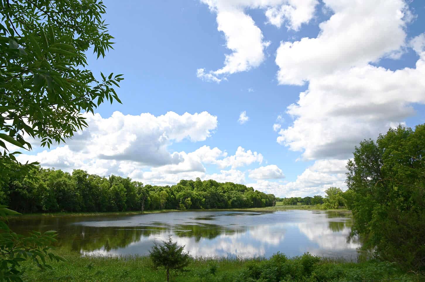 LIVESTOCK MANAGEMENT & WATERSHED